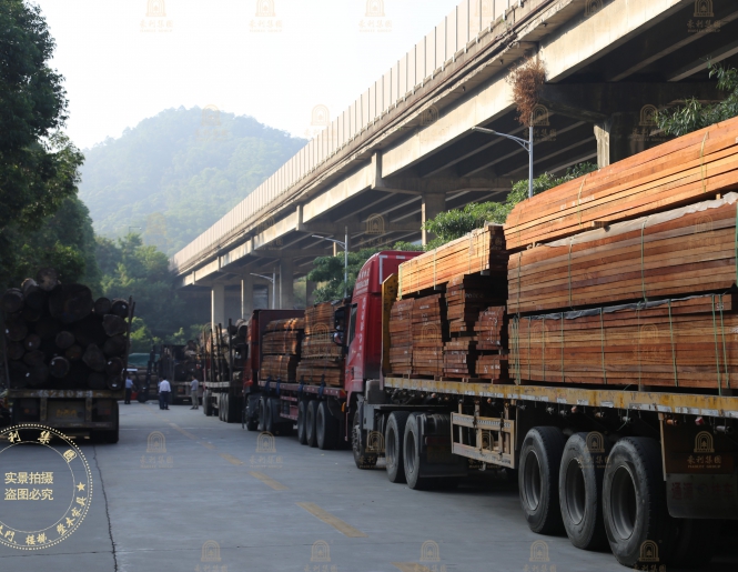 【原木资讯】年底囤“好”木，500m³美国胡桃木成功运抵深圳总部